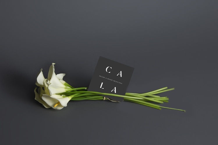 Cala家居用品公司vi設計，logo字體設計